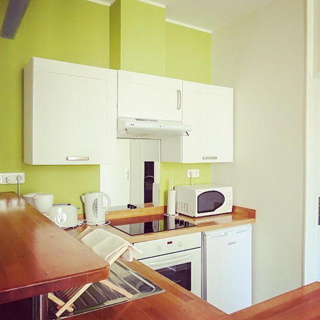 Barla 3 - A Spacious One Bedroom Apartment Near Place Garibaldi Nizza Esterno foto